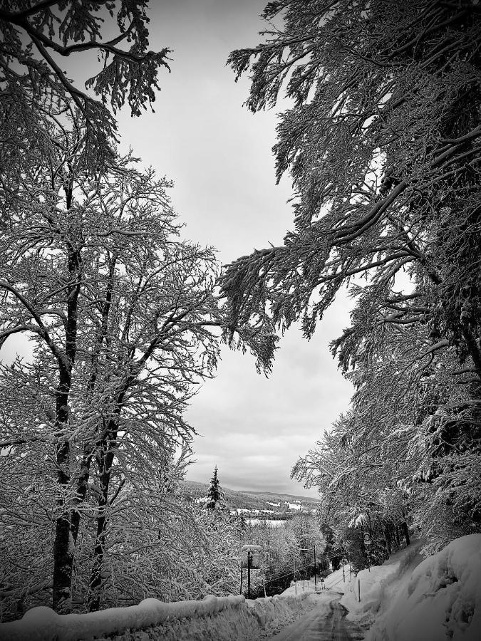 Hotel De Ville Du Sentier Le Sentier Exterior foto